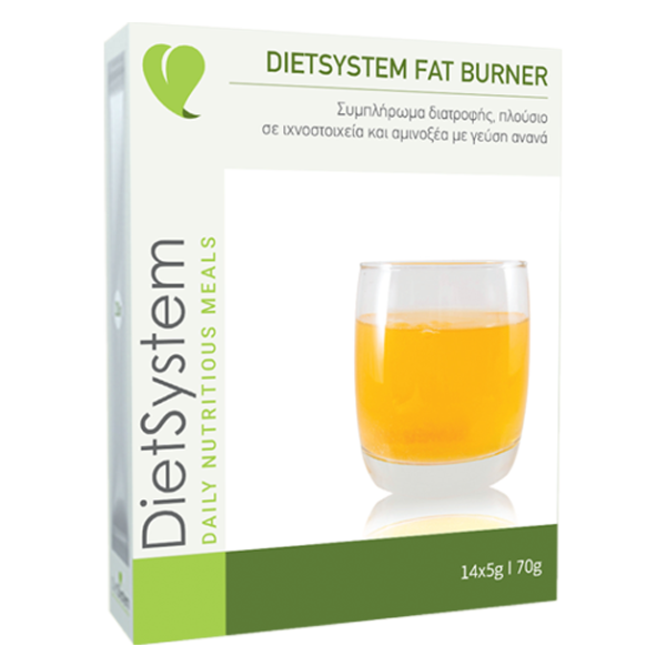 Diet System Fat Burner, 10x5g